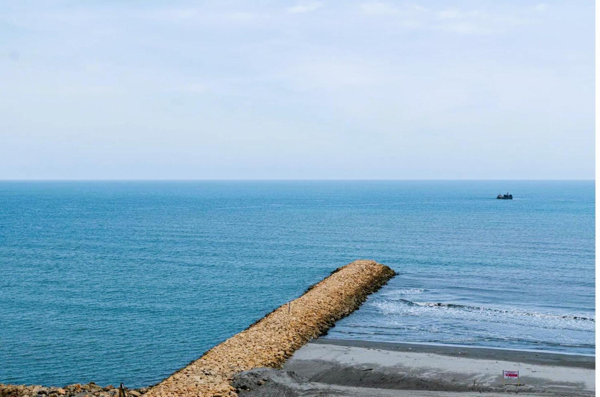 Palmetto - Frente Al Mar 4*